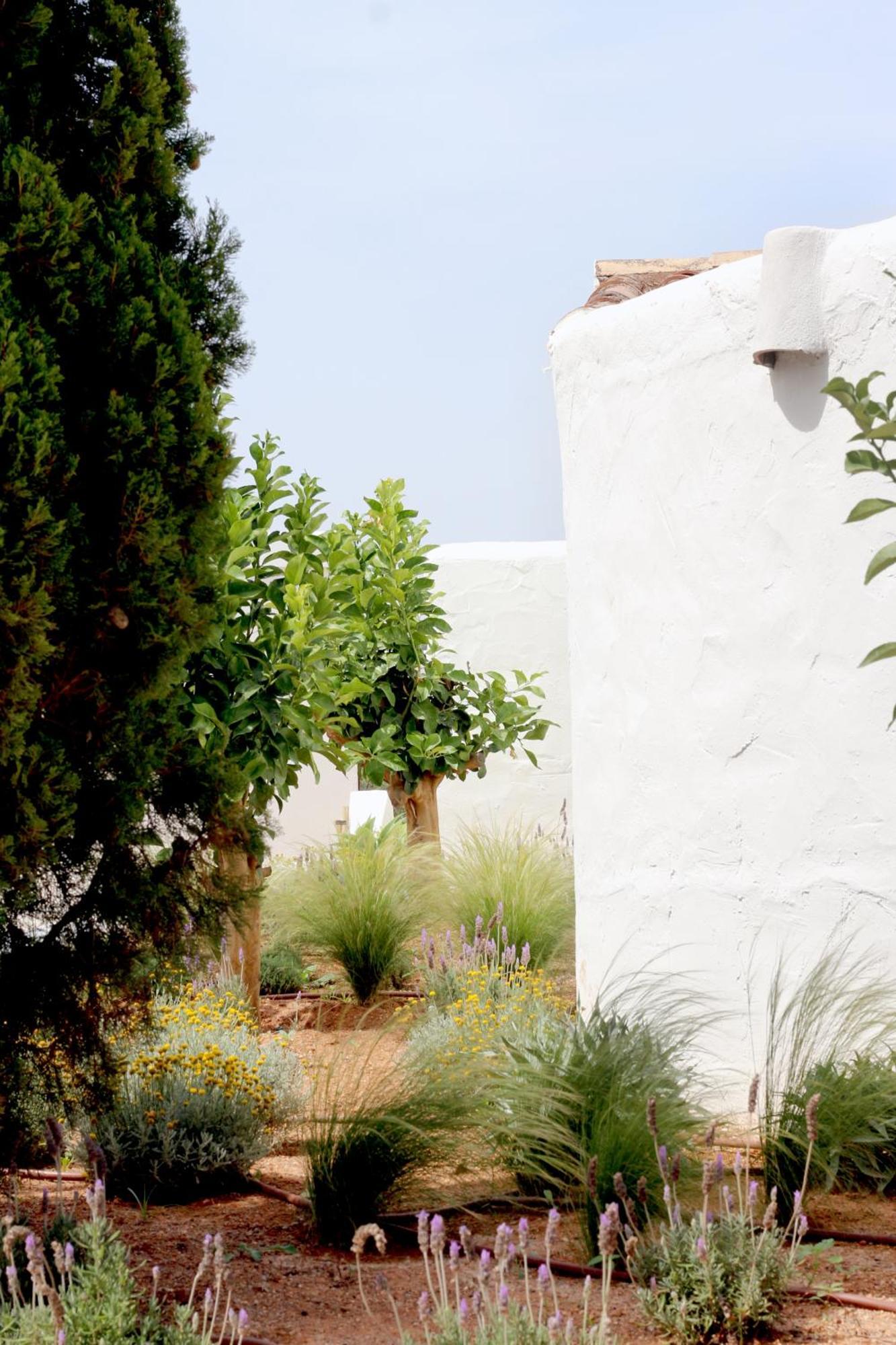 Aguamadera Villa Santa Eularia des Riu Ngoại thất bức ảnh